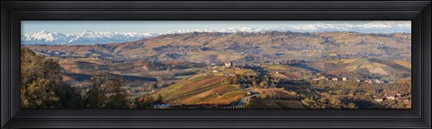 Framed High angle view of vineyards and castle, Grinzane Cavour, Langhe, Cuneo Province, Piedmont, Italy Print