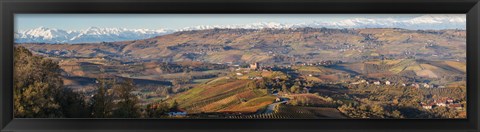 Framed High angle view of vineyards and castle, Grinzane Cavour, Langhe, Cuneo Province, Piedmont, Italy Print