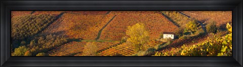 Framed Alba, Langhe, Cuneo Province, Piedmont, Italy Print