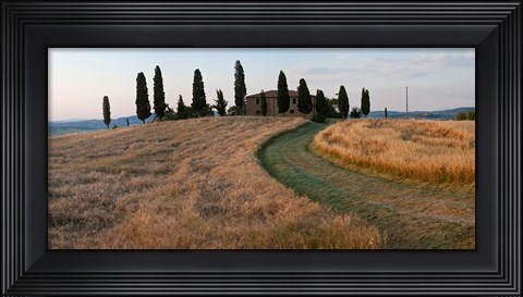 Framed Road leading towards a farmhouse, Val d&#39;Orcia, Tuscany, Italy Print