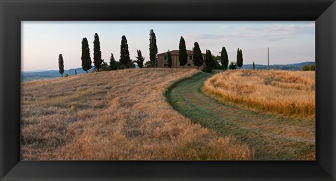 Framed Road leading towards a farmhouse, Val d&#39;Orcia, Tuscany, Italy Print