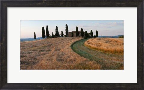 Framed Road leading towards a farmhouse, Val d&#39;Orcia, Tuscany, Italy Print