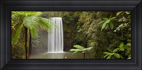 Framed Waterfall in a forest, Millaa Millaa Falls, Atherton Tableland, Queensland, Australia Print