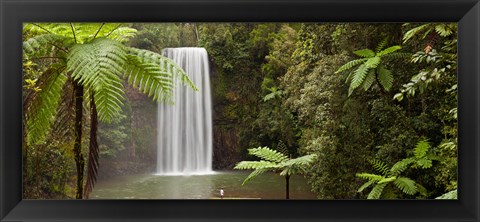 Framed Waterfall in a forest, Millaa Millaa Falls, Atherton Tableland, Queensland, Australia Print