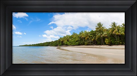 Framed Trees on the beach, Cape Tribulation, Daintree River National Park, Queensland, Australia Print