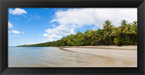 Framed Trees on the beach, Cape Tribulation, Daintree River National Park, Queensland, Australia Print