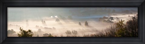 Framed Misty morning valley, Uley, Gloucestershire, England Print