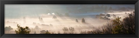 Framed Misty morning valley, Uley, Gloucestershire, England Print