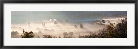 Framed Misty morning valley, Uley, Gloucestershire, England Print