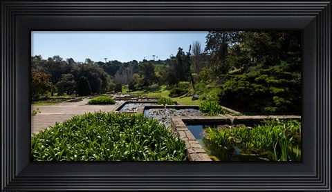 Framed Trees and aquatic plants in the garden, Mossen Cinto Verdaguer Gardens, Barcelona, Catalonia, Spain Print