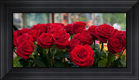 Framed Close-up of red roses in a bouquet during Sant Jordi Festival, Barcelona, Catalonia, Spain Print