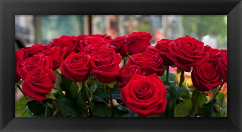 Framed Close-up of red roses in a bouquet during Sant Jordi Festival, Barcelona, Catalonia, Spain Print