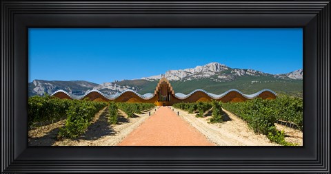Framed Bodegas Ysios winery building and vineyard, La Rioja, Spain Print