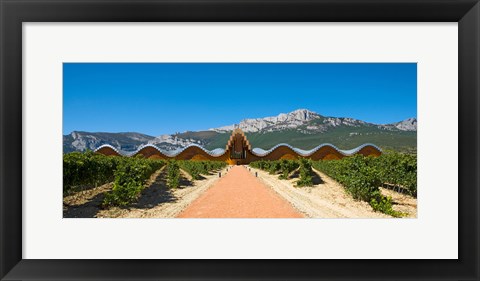 Framed Bodegas Ysios winery building and vineyard, La Rioja, Spain Print