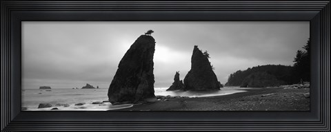Framed Silhouette of seastacks at sunset, Olympic National Park, Washington State (black and white) Print