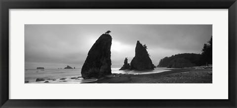 Framed Silhouette of seastacks at sunset, Olympic National Park, Washington State (black and white) Print