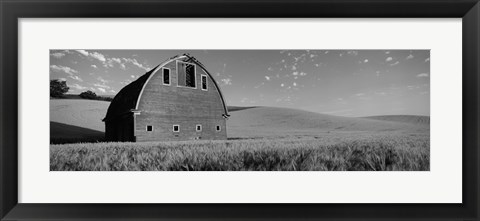 Framed Black and White view of Old barn in a wheat field, Washington State Print