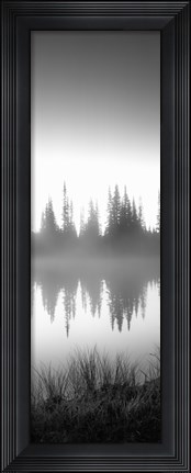 Framed Reflection of trees in a lake in black and white, Mt Rainier National Park, Washington State Print