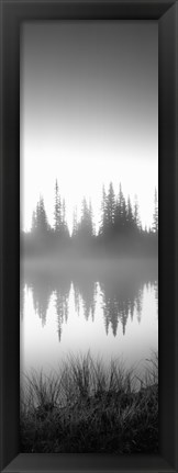 Framed Reflection of trees in a lake in black and white, Mt Rainier National Park, Washington State Print