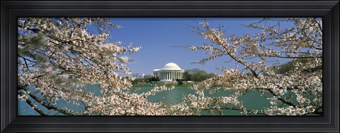 Framed Cherry blossom with memorial in the background, Jefferson Memorial, Tidal Basin, Washington DC, USA Print