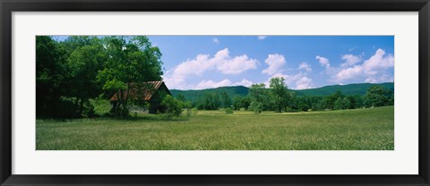 Framed Barn in a field, Cades Cove, Great Smoky Mountains National Park, Tennessee, USA Print