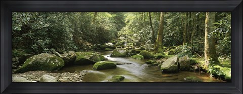 Framed Roaring Fork River, Great Smoky Mountains, Tennessee Print