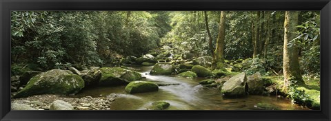 Framed Roaring Fork River, Great Smoky Mountains, Tennessee Print