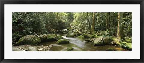 Framed Roaring Fork River, Great Smoky Mountains, Tennessee Print