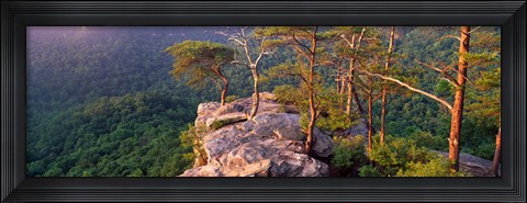 Framed Trees on a mountain, Buzzards' Roost Fall Creek Falls State Park, Pikeville, Bledsoe County, Tennessee, USA Print