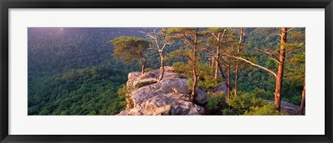 Framed Trees on a mountain, Buzzards&#39; Roost Fall Creek Falls State Park, Pikeville, Bledsoe County, Tennessee, USA Print