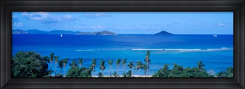 Framed Palm trees on the beach, British Virgin Islands Print