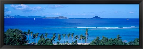 Framed Palm trees on the beach, British Virgin Islands Print