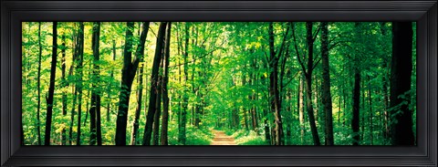Framed France, Paris, St Cloud Print