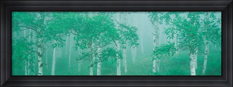 Framed Highlands Yachihokgen Nagano Japan Print