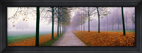 Framed Autumn in Schleissheim Bavaria Germany Print