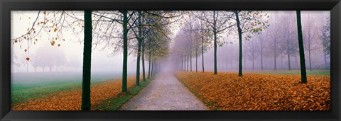 Framed Autumn in Schleissheim Bavaria Germany Print