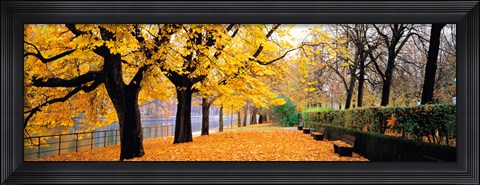 Framed Park Bavaria Munich Germany Print