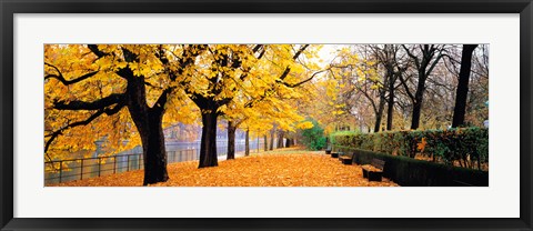 Framed Park Bavaria Munich Germany Print