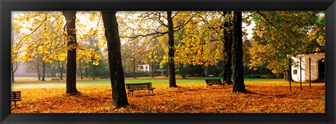 Framed Park Bavaria Germany Print