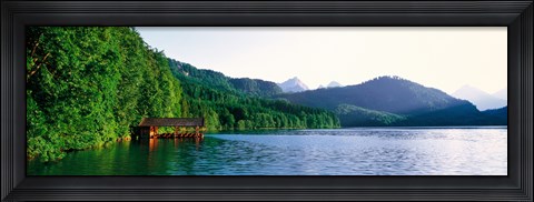Framed Alp Lake Hohenschwangau Germany Print