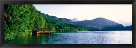 Framed Alp Lake Hohenschwangau Germany Print