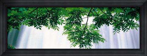 Framed Oirase ravine Choshi Falls Aomori Towadako-cho Japan Print