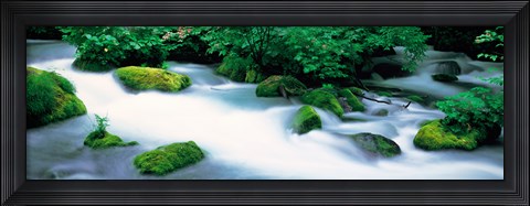 Framed Fog in Oirase ravine Aomori Towadako-cho Japan Print