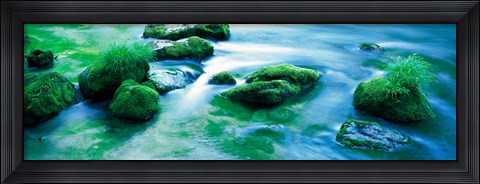 Framed Rocks with Moss, Oirase ravine Aomori Towadako-cho Japan Print