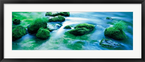 Framed Rocks with Moss, Oirase ravine Aomori Towadako-cho Japan Print