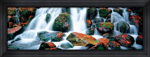 Framed Kibune River fall colors Kyoto Sagano Japan Print