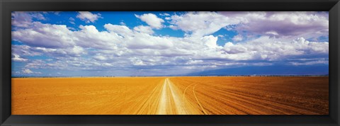 Framed Dirt road Amboseli Kenya Print