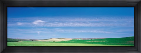 Framed Farm Audausia Cordoba vicinity Spain Print