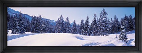 Framed Snowy Field &amp; Trees Oberjoch Germany Print