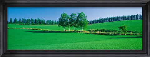 Framed Biei-Cho Hokkaido Japan Print